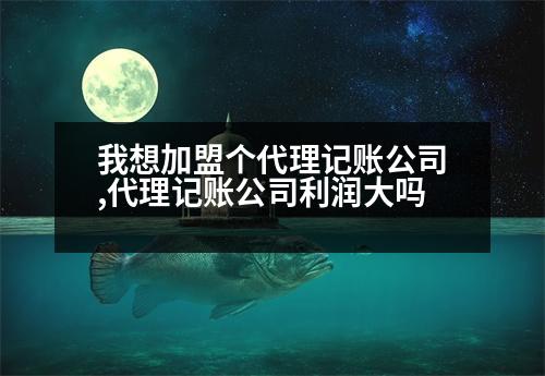 我想加盟個代理記賬公司,代理記賬公司利潤大嗎