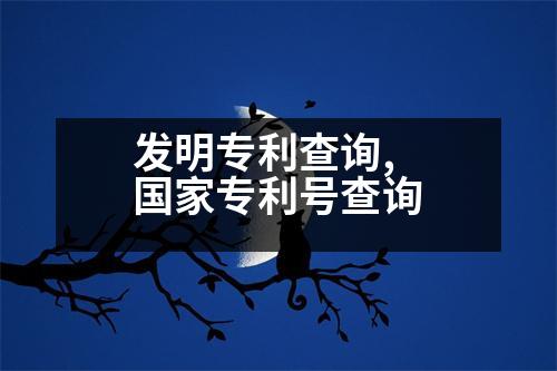 發(fā)明專利查詢,國(guó)家專利號(hào)查詢