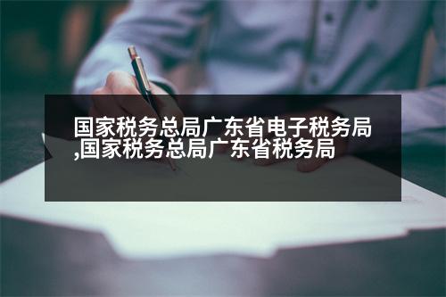 國家稅務總局廣東省電子稅務局,國家稅務總局廣東省稅務局