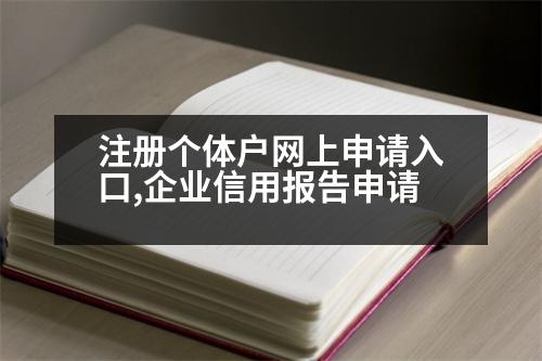 注冊個(gè)體戶網(wǎng)上申請入口,企業(yè)信用報(bào)告申請