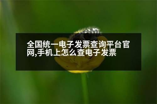 全國統(tǒng)一電子發(fā)票查詢平臺官網(wǎng),手機(jī)上怎么查電子發(fā)票