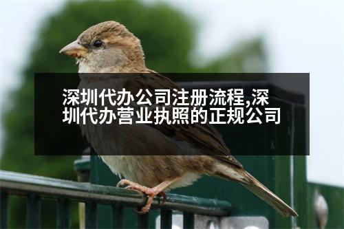 深圳代辦公司注冊(cè)流程,深圳代辦營(yíng)業(yè)執(zhí)照的正規(guī)公司