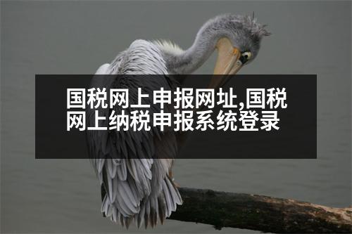 國(guó)稅網(wǎng)上申報(bào)網(wǎng)址,國(guó)稅網(wǎng)上納稅申報(bào)系統(tǒng)登錄