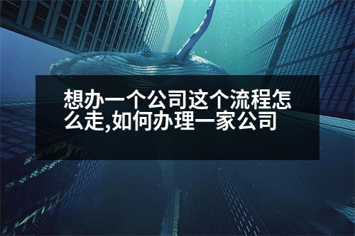 想辦一個公司這個流程怎么走,如何辦理一家公司