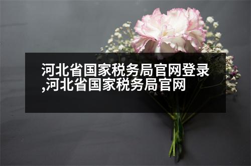 河北省國家稅務局官網(wǎng)登錄,河北省國家稅務局官網(wǎng)