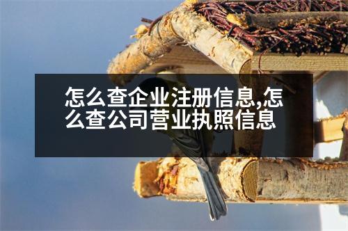 怎么查企業(yè)注冊(cè)信息,怎么查公司營(yíng)業(yè)執(zhí)照信息