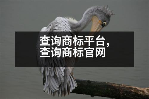 查詢(xún)商標(biāo)平臺(tái),查詢(xún)商標(biāo)官網(wǎng)