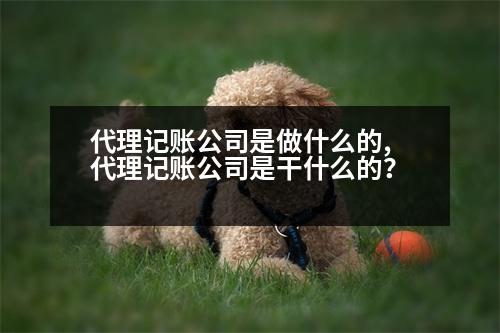 代理記賬公司是做什么的,代理記賬公司是干什么的？