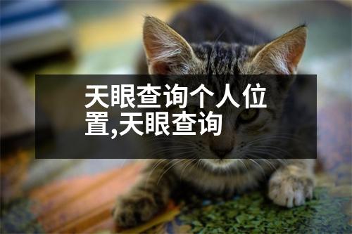 天眼查詢個人位置,天眼查詢