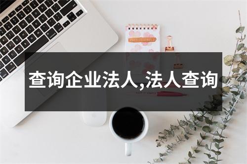 查詢企業(yè)法人,法人查詢