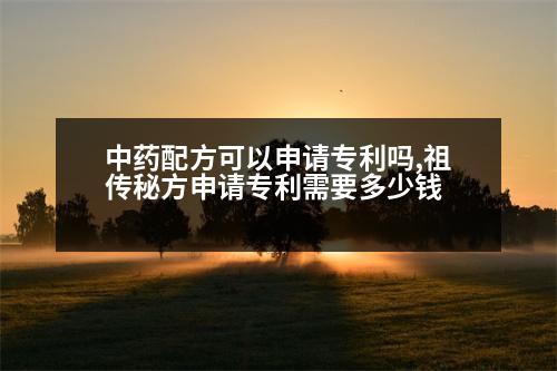 中藥配方可以申請專利嗎,祖?zhèn)髅胤缴暾垖＠枰嗌馘X