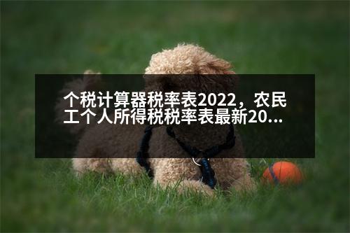 個稅計算器稅率表2022，農(nóng)民工個人所得稅稅率表最新2023