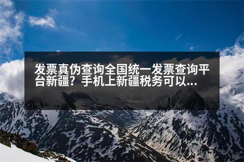 發(fā)票真?zhèn)尾樵內(nèi)珖y(tǒng)一發(fā)票查詢平臺(tái)新疆？手機(jī)上新疆稅務(wù)可以發(fā)票抄報(bào)匯總嗎