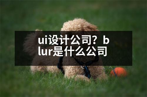 ui設(shè)計公司？blur是什么公司