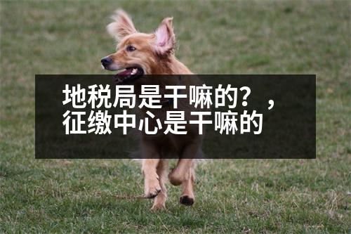 地稅局是干嘛的？，征繳中心是干嘛的