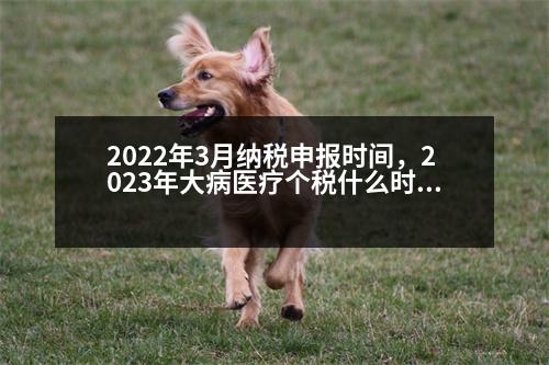 2022年3月納稅申報(bào)時(shí)間，2023年大病醫(yī)療個(gè)稅什么時(shí)候填