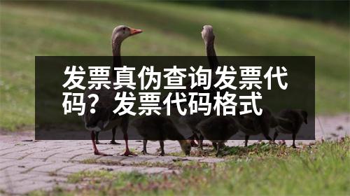 發(fā)票真?zhèn)尾樵儼l(fā)票代碼？發(fā)票代碼格式