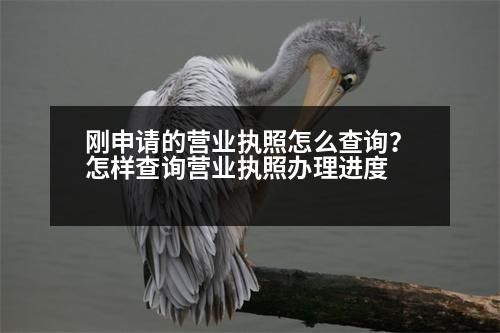 剛申請的營業(yè)執(zhí)照怎么查詢？怎樣查詢營業(yè)執(zhí)照辦理進(jìn)度