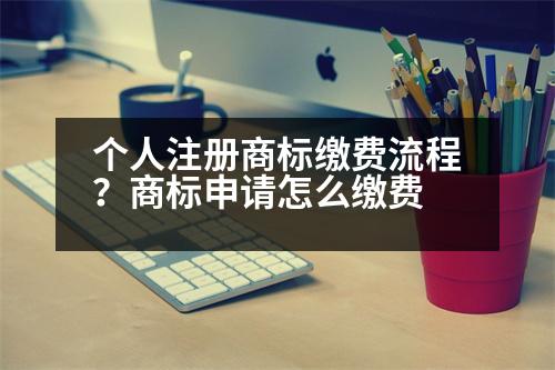 個(gè)人注冊(cè)商標(biāo)繳費(fèi)流程？商標(biāo)申請(qǐng)?jiān)趺蠢U費(fèi)