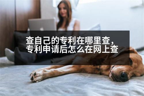 查自己的專利在哪里查，專利申請(qǐng)后怎么在網(wǎng)上查