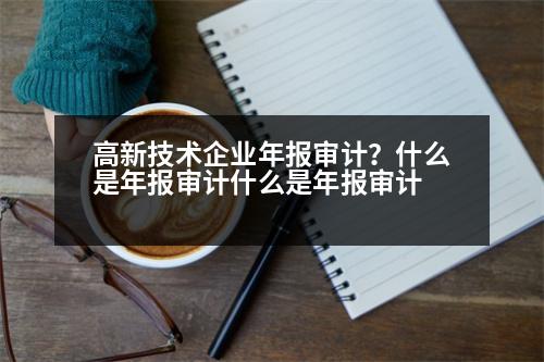 高新技術(shù)企業(yè)年報審計？什么是年報審計什么是年報審計