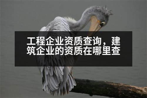 工程企業(yè)資質(zhì)查詢，建筑企業(yè)的資質(zhì)在哪里查