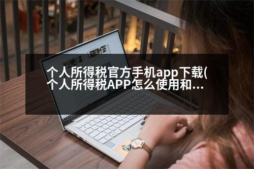 個(gè)人所得稅官方手機(jī)app下載(個(gè)人所得稅APP怎么使用和查詢(xún))