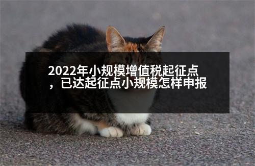 2022年小規(guī)模增值稅起征點(diǎn)，已達(dá)起征點(diǎn)小規(guī)模怎樣申報(bào)