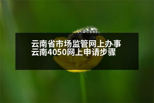 云南省市場(chǎng)監(jiān)管網(wǎng)上辦事 云南4050網(wǎng)上申請(qǐng)步驟