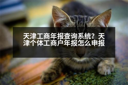 天津工商年報查詢系統(tǒng)？天津個體工商戶年報怎么申報