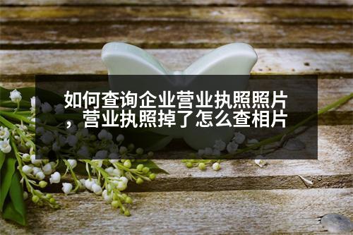 如何查詢企業(yè)營業(yè)執(zhí)照照片，營業(yè)執(zhí)照掉了怎么查相片