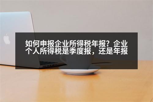 如何申報(bào)企業(yè)所得稅年報(bào)？企業(yè)個(gè)人所得稅是季度報(bào)，還是年報(bào)