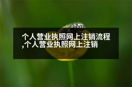 個(gè)人營(yíng)業(yè)執(zhí)照網(wǎng)上注銷(xiāo)流程,個(gè)人營(yíng)業(yè)執(zhí)照網(wǎng)上注銷(xiāo)