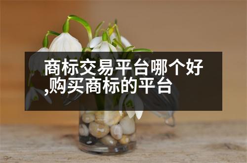 商標(biāo)交易平臺(tái)哪個(gè)好,購(gòu)買商標(biāo)的平臺(tái)