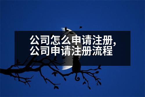 公司怎么申請(qǐng)注冊(cè),公司申請(qǐng)注冊(cè)流程