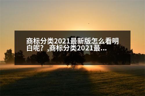 商標分類2021最新版怎么看明白呢？,商標分類2021最新版