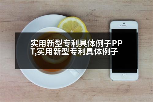 實(shí)用新型專利具體例子PPT,實(shí)用新型專利具體例子