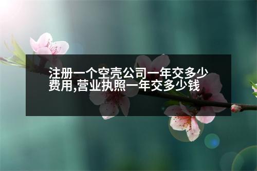 注冊一個空殼公司一年交多少費用,營業(yè)執(zhí)照一年交多少錢