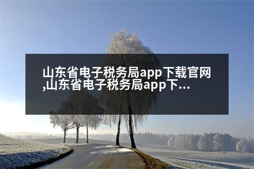 山東省電子稅務(wù)局app下載官網(wǎng),山東省電子稅務(wù)局app下載