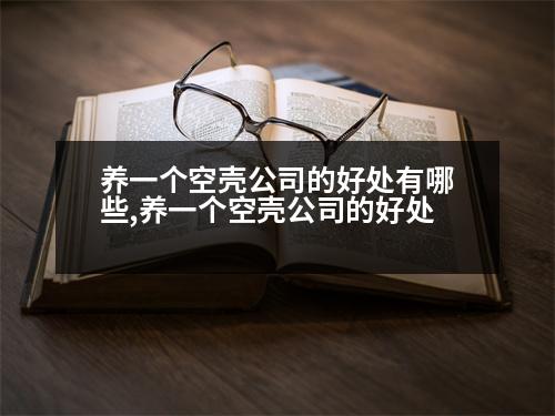 養(yǎng)一個(gè)空殼公司的好處有哪些,養(yǎng)一個(gè)空殼公司的好處