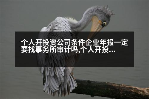 個人開投資公司條件企業(yè)年報一定要找事務(wù)所審計嗎,個人開投資公司條件