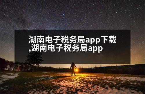 湖南電子稅務(wù)局app下載,湖南電子稅務(wù)局app