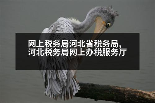 網(wǎng)上稅務(wù)局河北省稅務(wù)局,河北稅務(wù)局網(wǎng)上辦稅服務(wù)廳