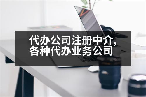 代辦公司注冊(cè)中介,各種代辦業(yè)務(wù)公司