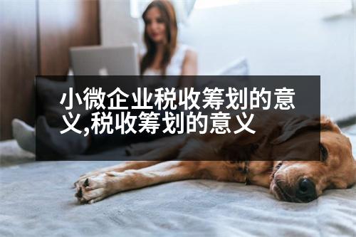 小微企業(yè)稅收籌劃的意義,稅收籌劃的意義