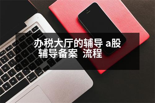 辦稅大廳的輔導(dǎo) a股  輔導(dǎo)備案  流程