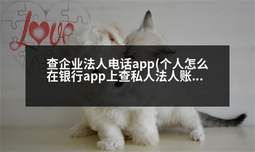 查企業(yè)法人電話app(個(gè)人怎么在銀行app上查私人法人賬號)