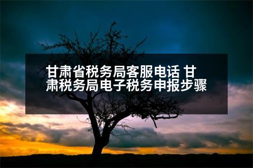 甘肅省稅務(wù)局客服電話 甘肅稅務(wù)局電子稅務(wù)申報(bào)步驟