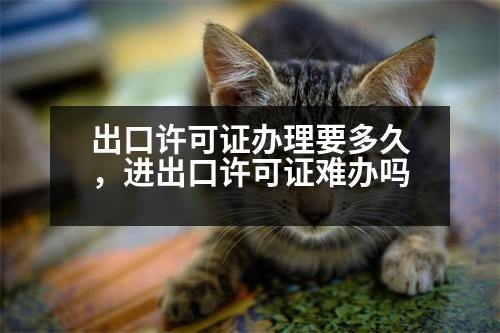 出口許可證辦理要多久，進(jìn)出口許可證難辦嗎