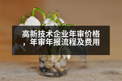 高新技術(shù)企業(yè)年審價(jià)格，年審年報(bào)流程及費(fèi)用